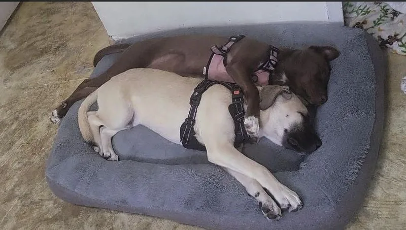 Blue Sea thumbnail 2