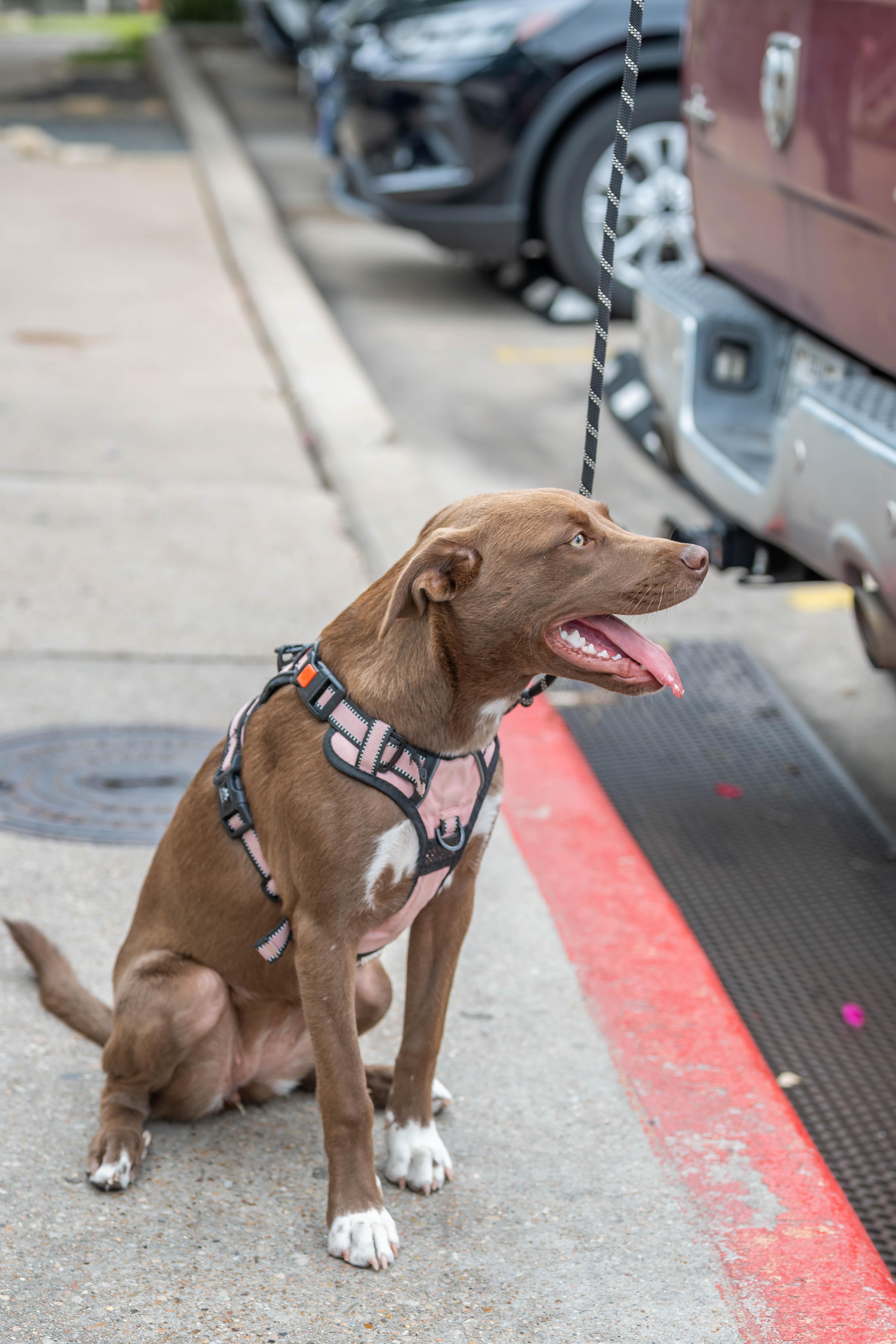 Blue Sea thumbnail 3