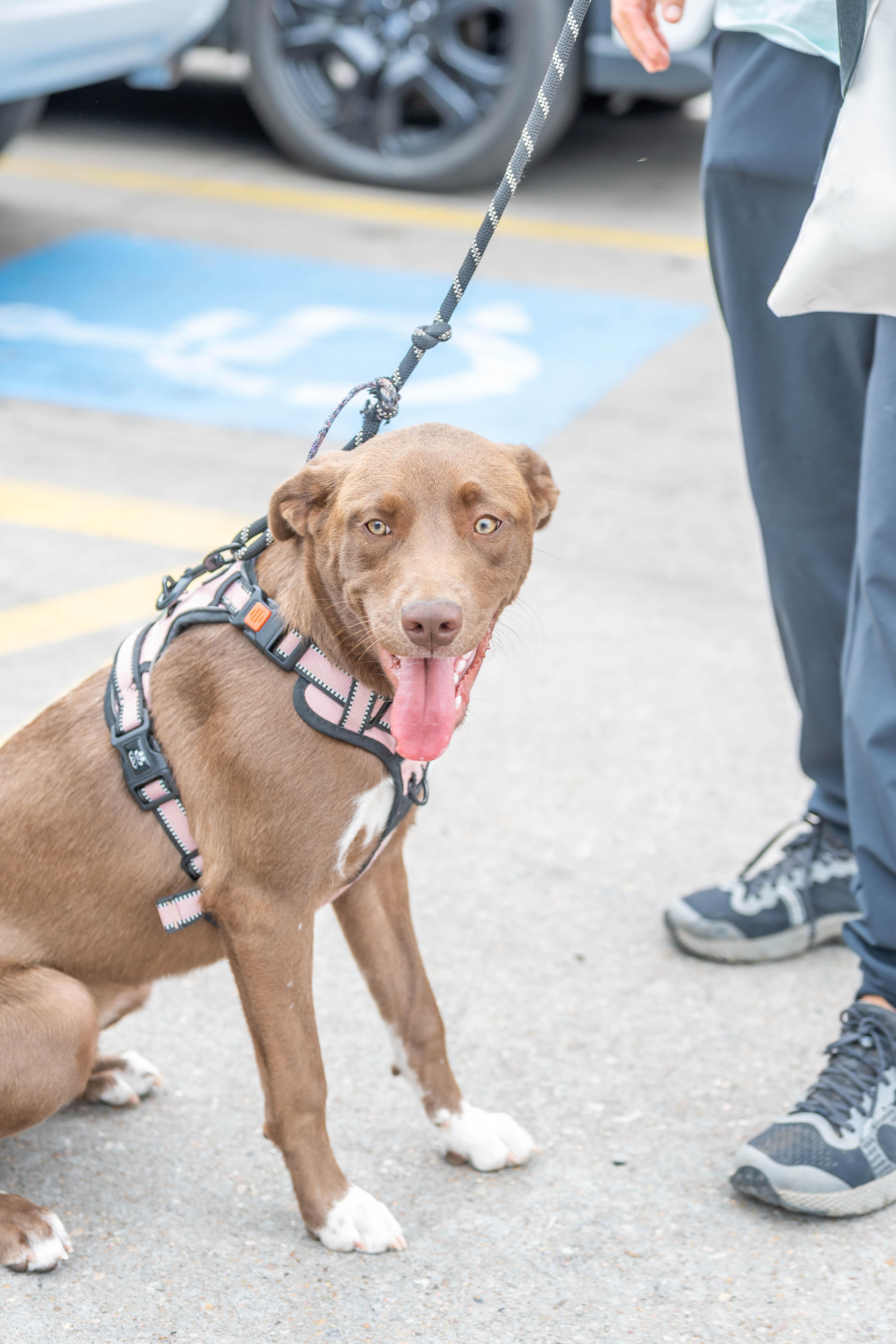 Blue Sea thumbnail 4