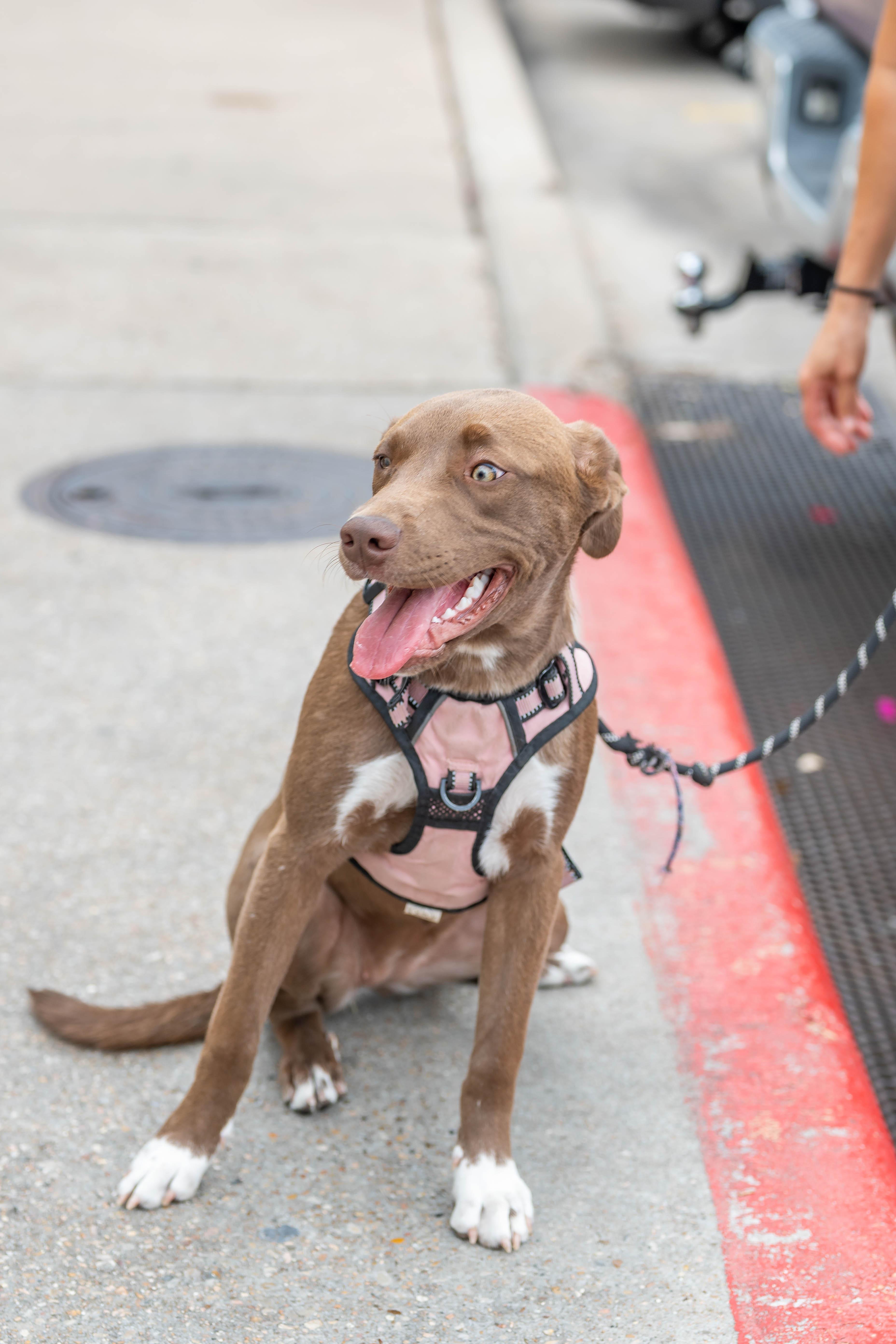 Blue Sea thumbnail 5