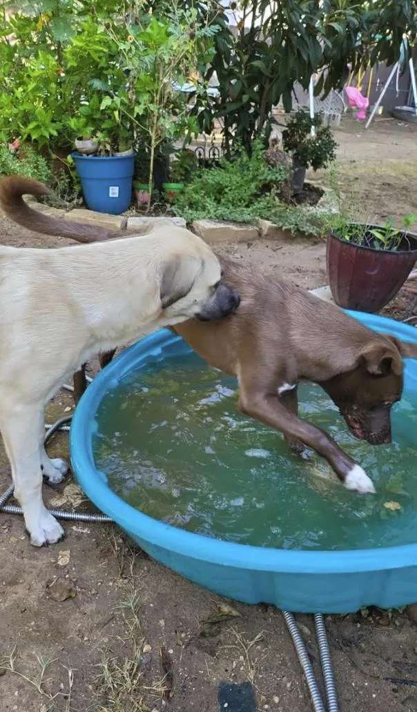 Blue Sea thumbnail 6