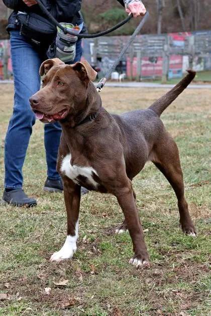 Sadie  Mom thumbnail 2