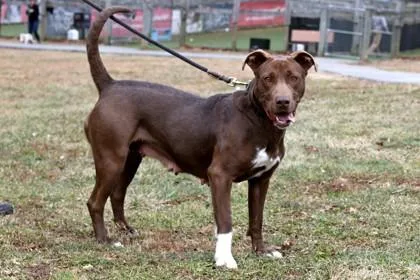 Sadie  Mom thumbnail 3