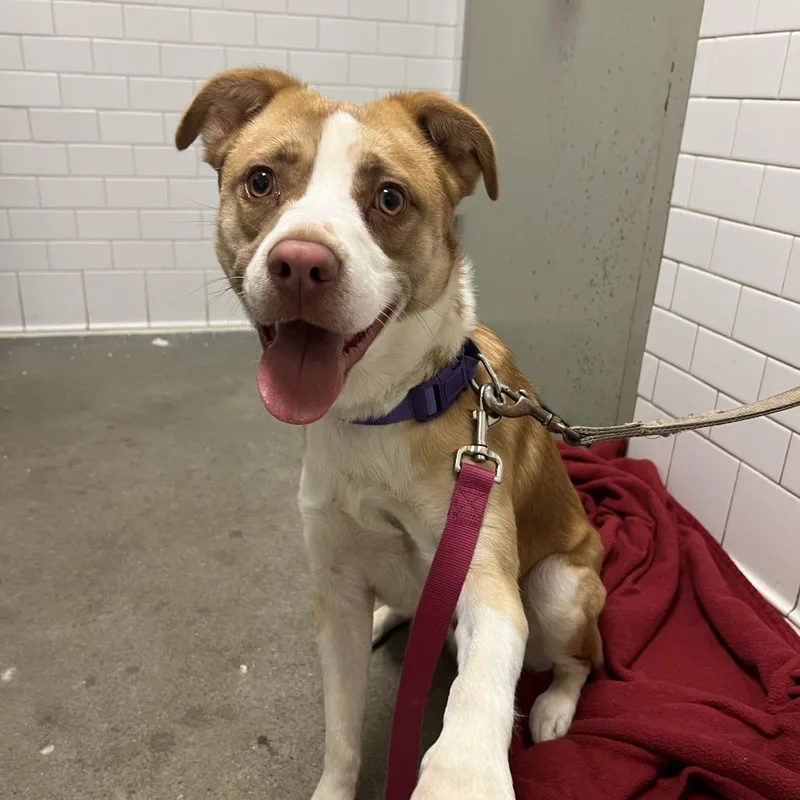 Zacharia thumbnail 2