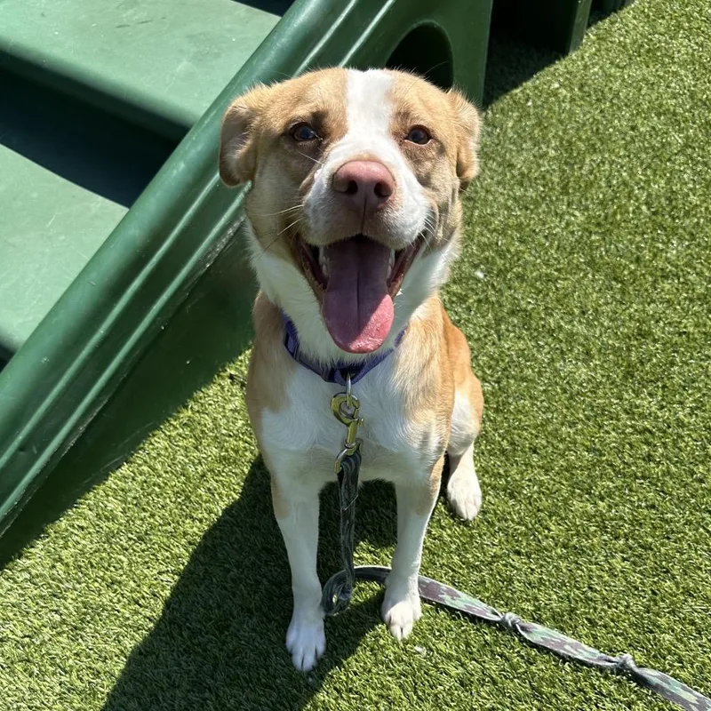 Zacharia thumbnail 3