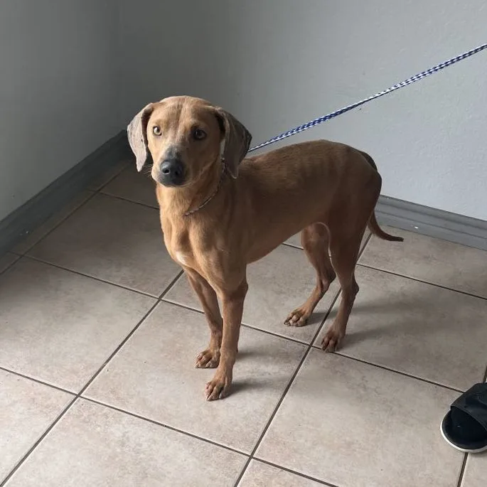 Sophie Warner thumbnail 3