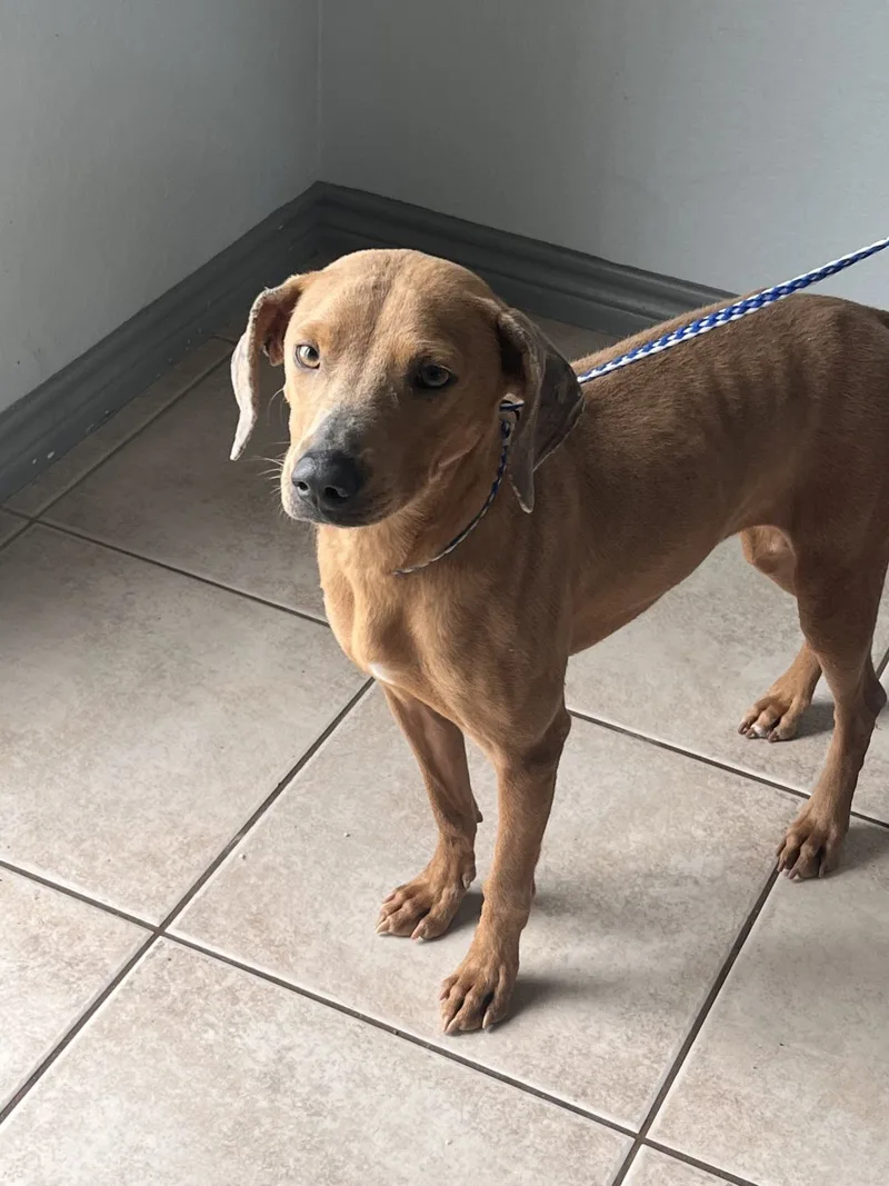 Sophie Warner thumbnail 4