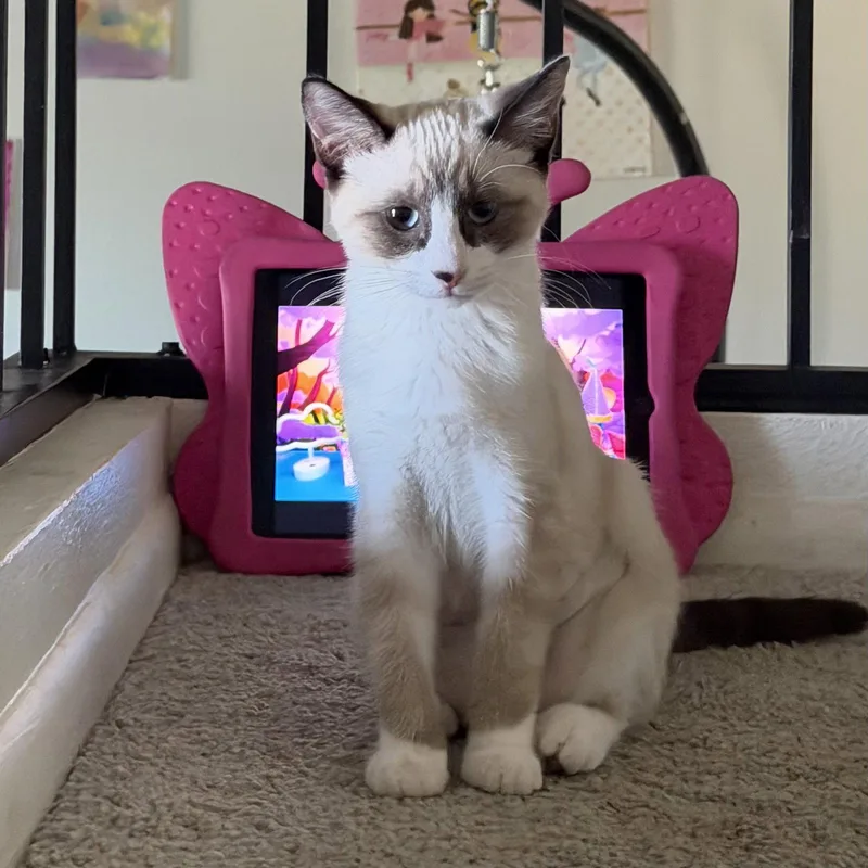 Chloe thumbnail 3