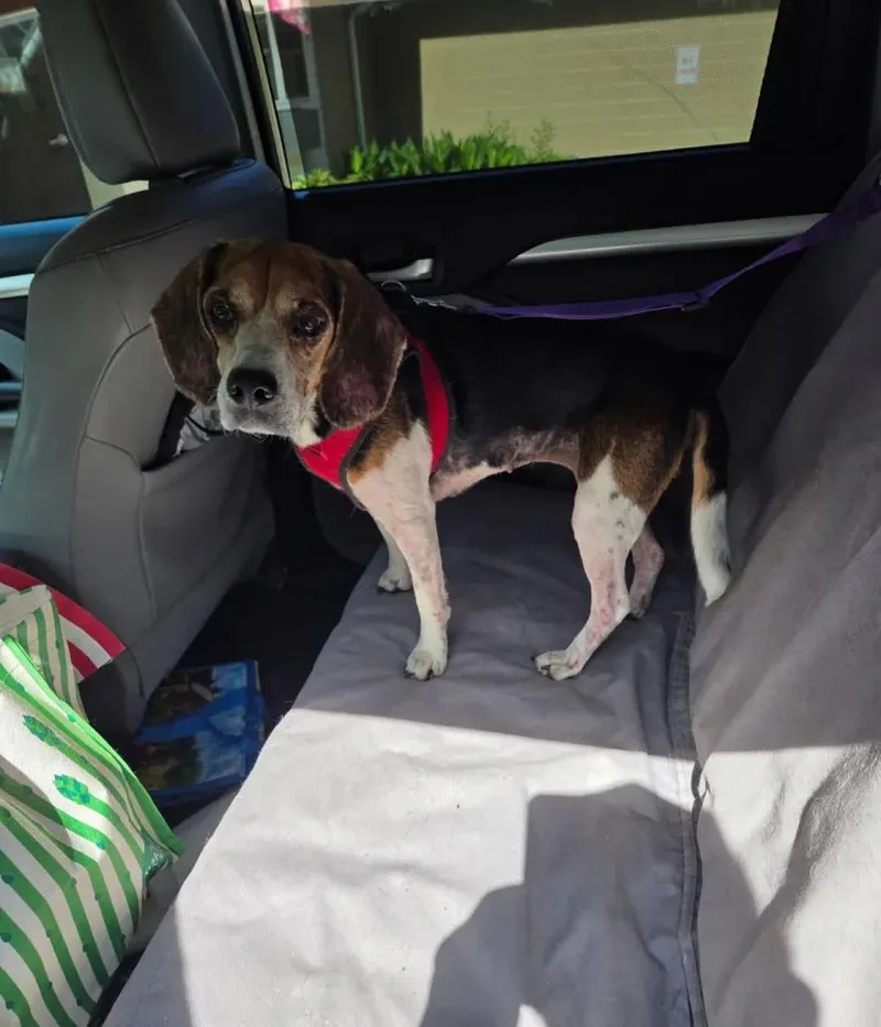 Winnie Charles thumbnail 2