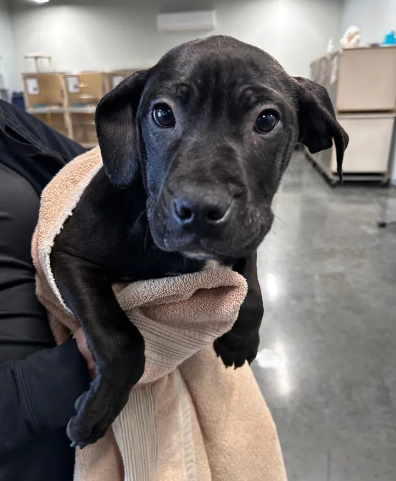 Spiderman thumbnail 2