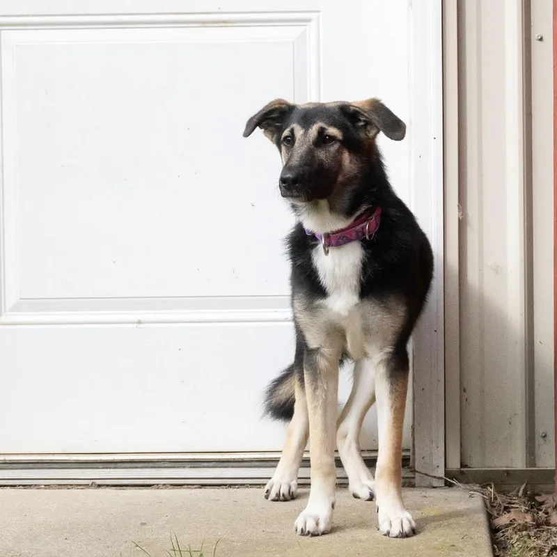 Nora