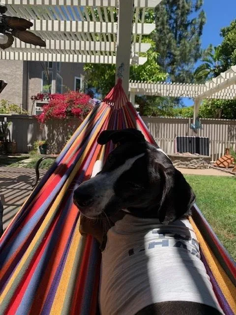 Billykullen thumbnail 2