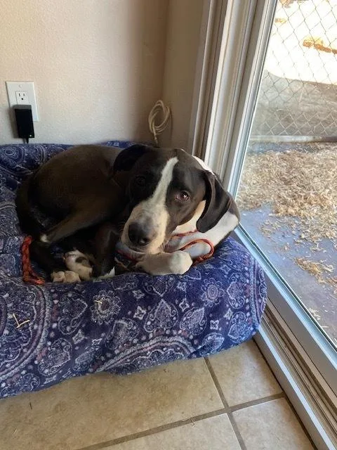 Billykullen thumbnail 3