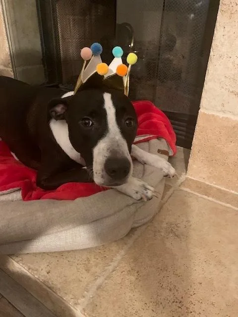 Billykullen thumbnail 5