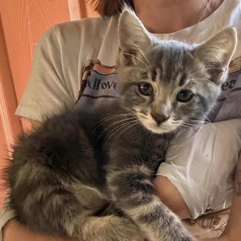 Max