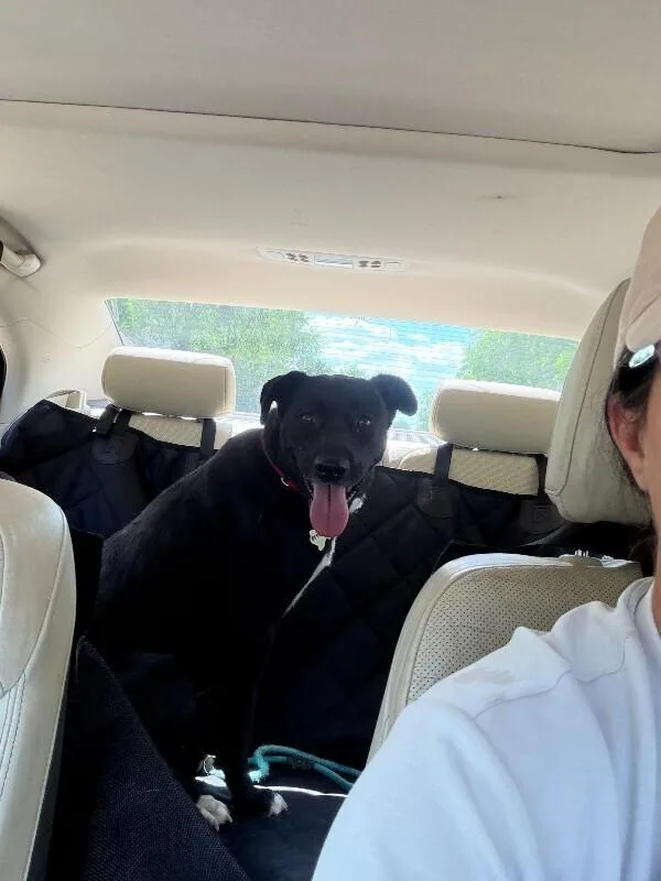 Esther thumbnail 3