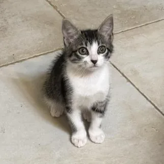 Mia thumbnail 2