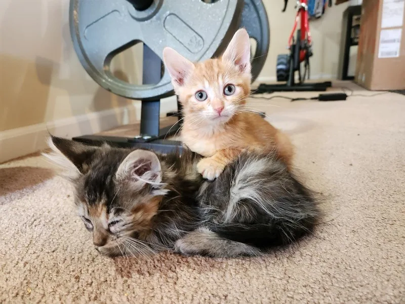 Handsome Hayden thumbnail 3