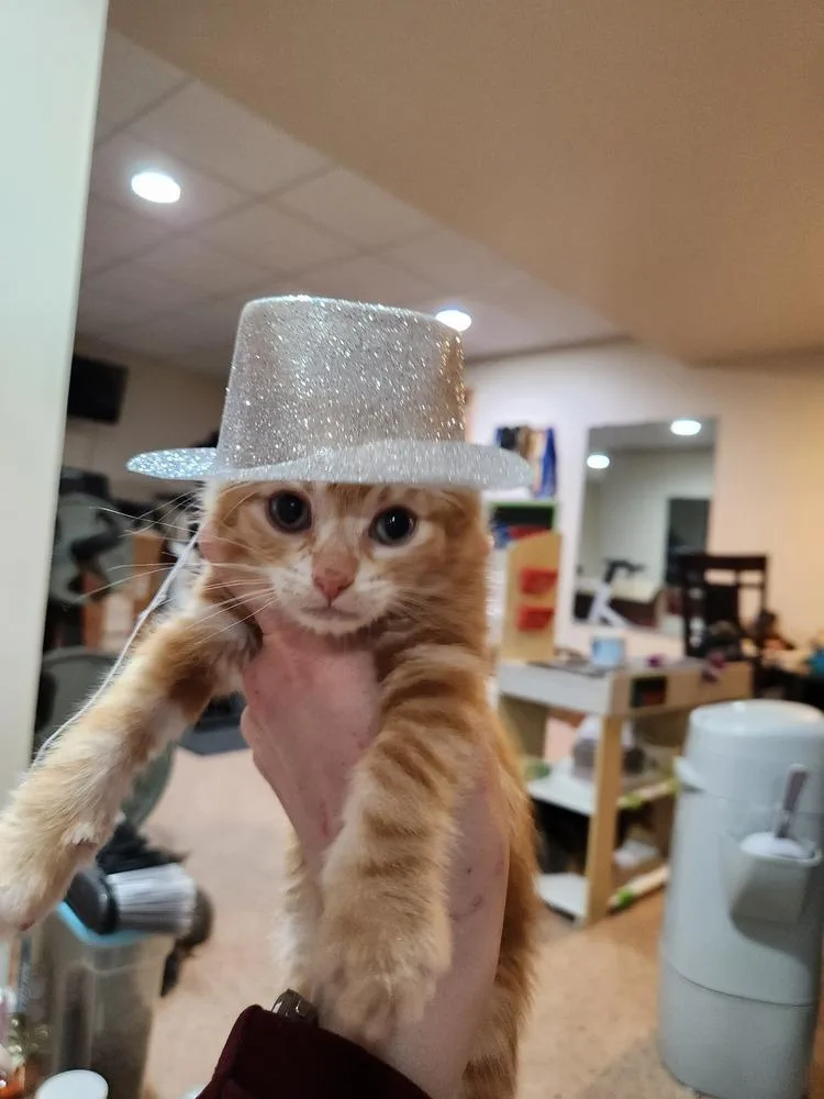 Handsome Hayden thumbnail 5