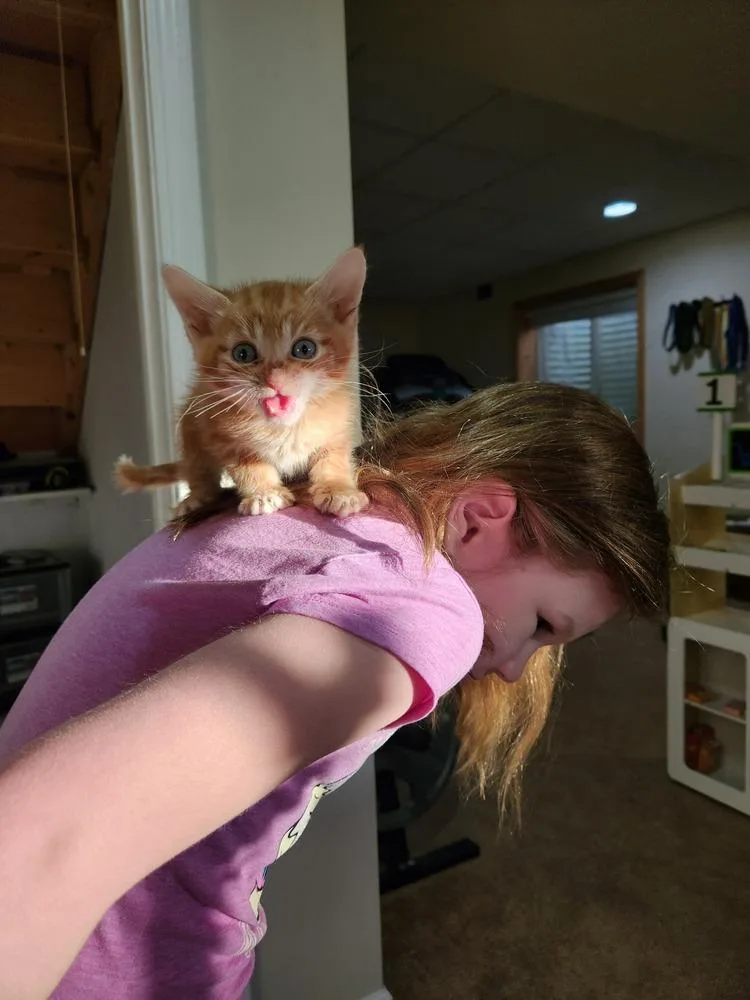 Handsome Hayden thumbnail 6