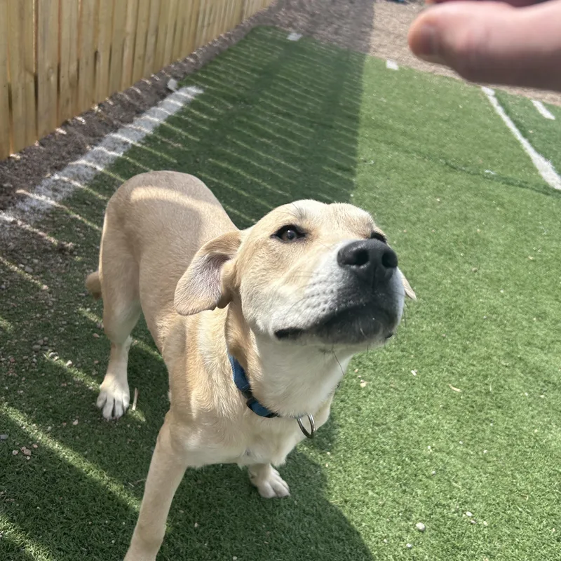Bailey thumbnail 2