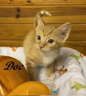 Doc thumbnail 3