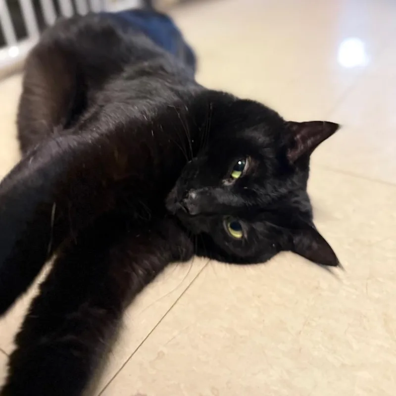 Bruce Wayne thumbnail 2