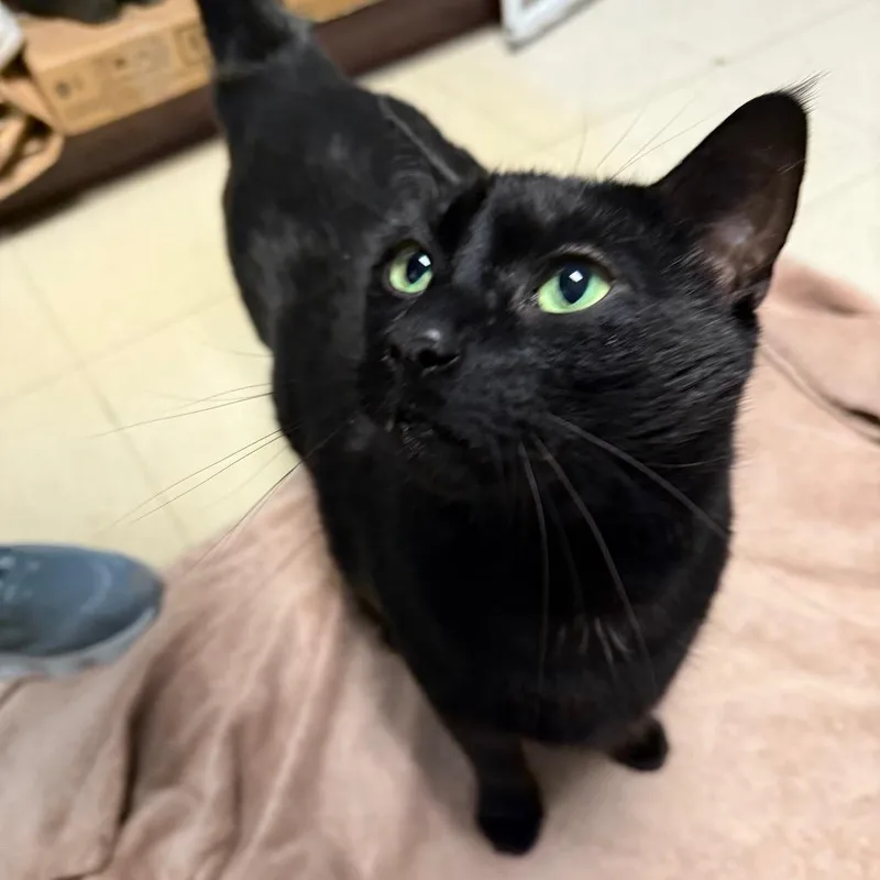 Bruce Wayne thumbnail 3