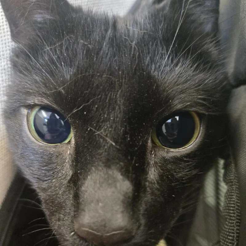 Bruce Wayne thumbnail 5