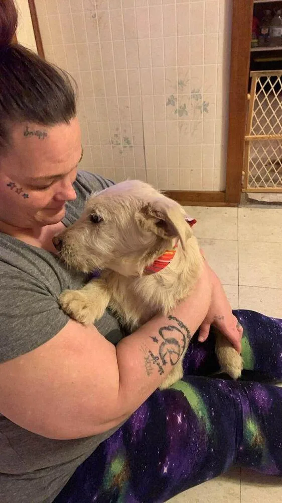 Wednesday Surprise : Chief thumbnail 2