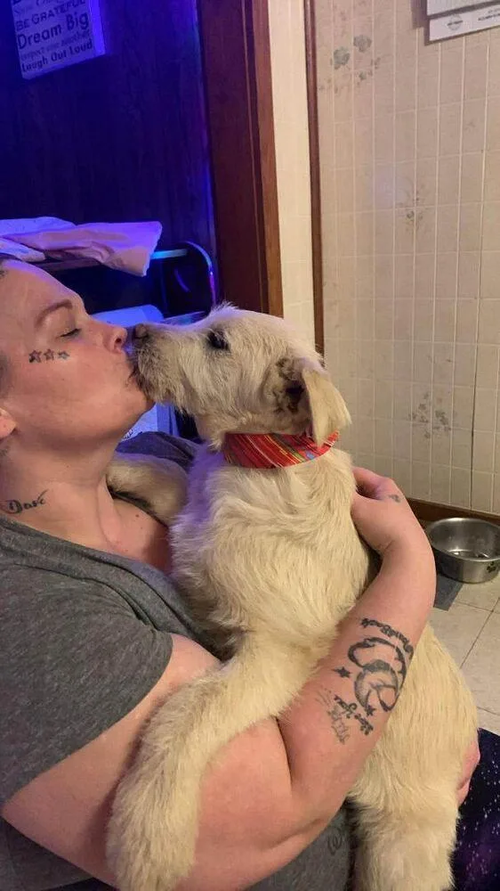 Wednesday Surprise : Chief thumbnail 3