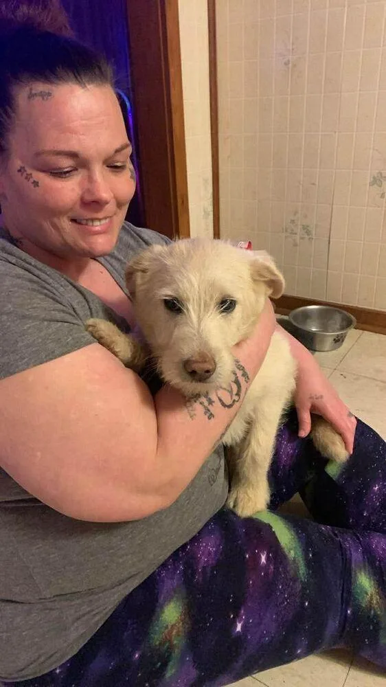 Wednesday Surprise : Chief thumbnail 4