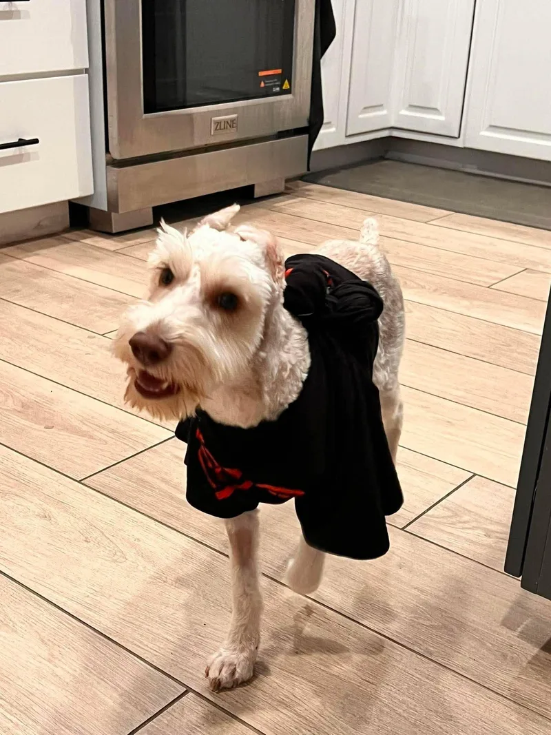 Krypto thumbnail 3