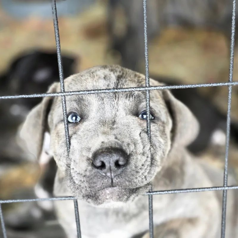 Concrete thumbnail 2