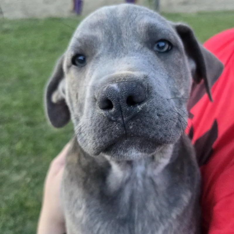 Concrete thumbnail 3