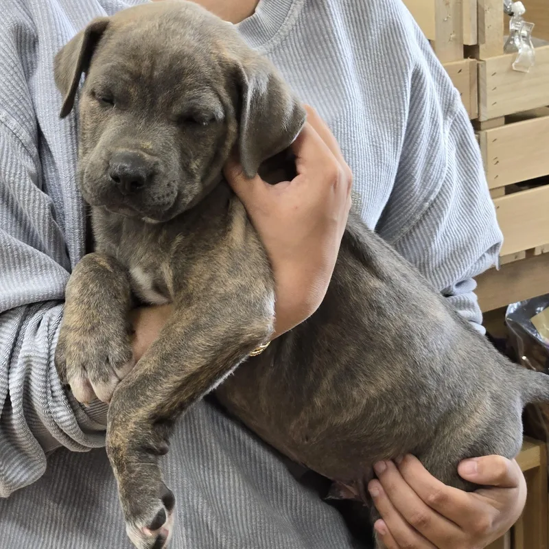 Concrete thumbnail 4