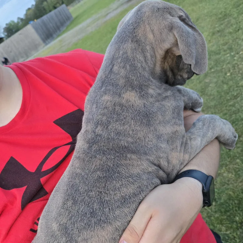 Concrete thumbnail 5