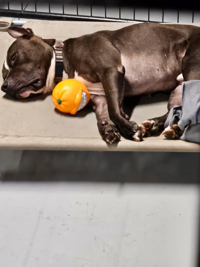 Lightning Mcqueen thumbnail 2