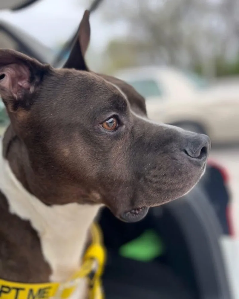 Lightning Mcqueen thumbnail 4