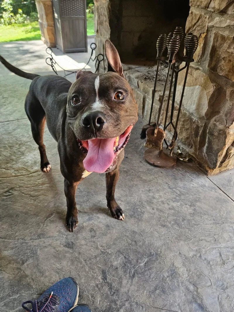 Lightning Mcqueen thumbnail 5