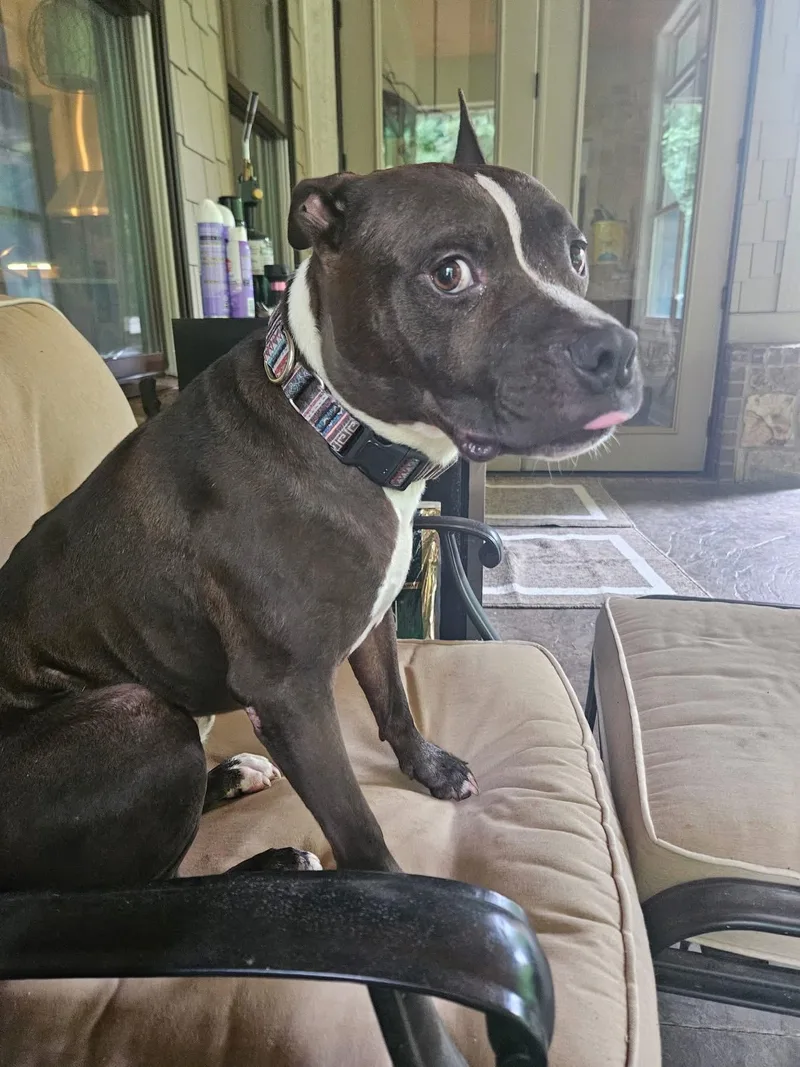 Lightning Mcqueen thumbnail 6