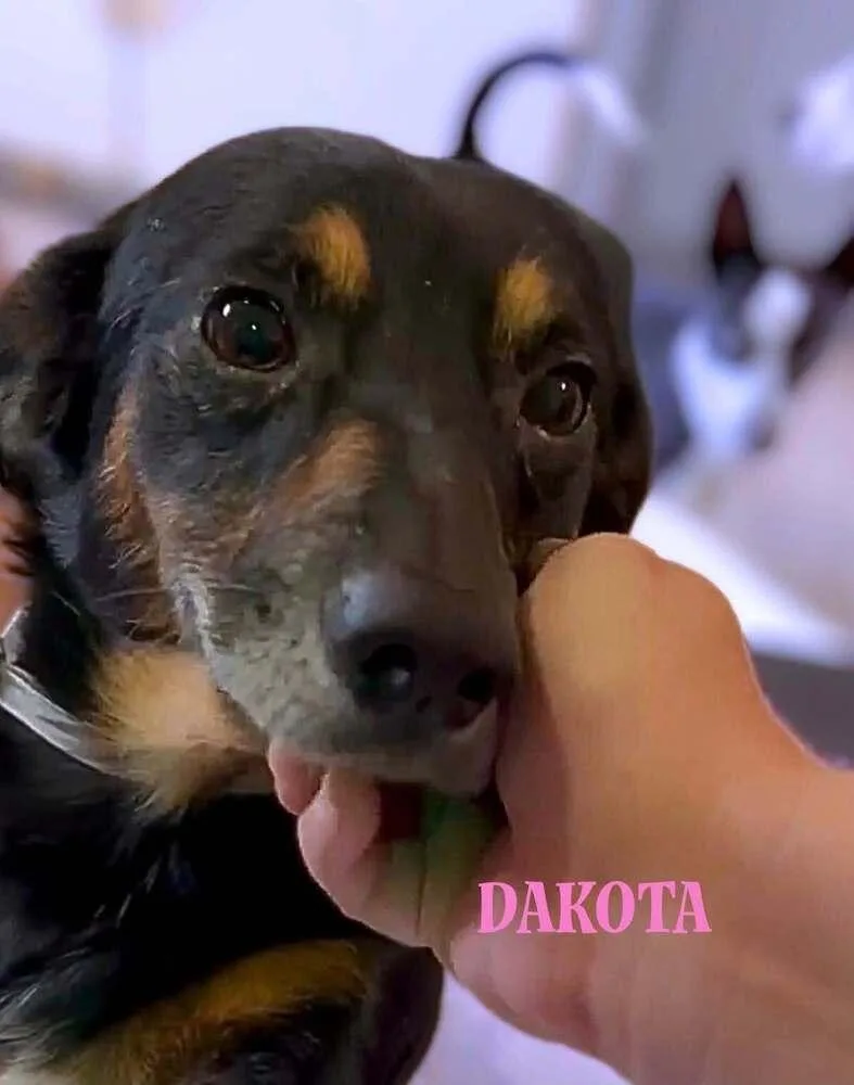 Dakota