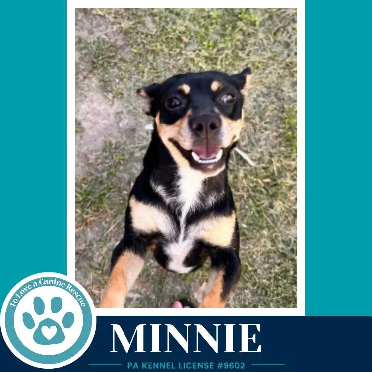 Minnie thumbnail 2