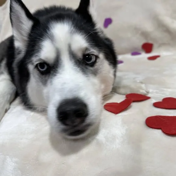 Blizzard thumbnail 2