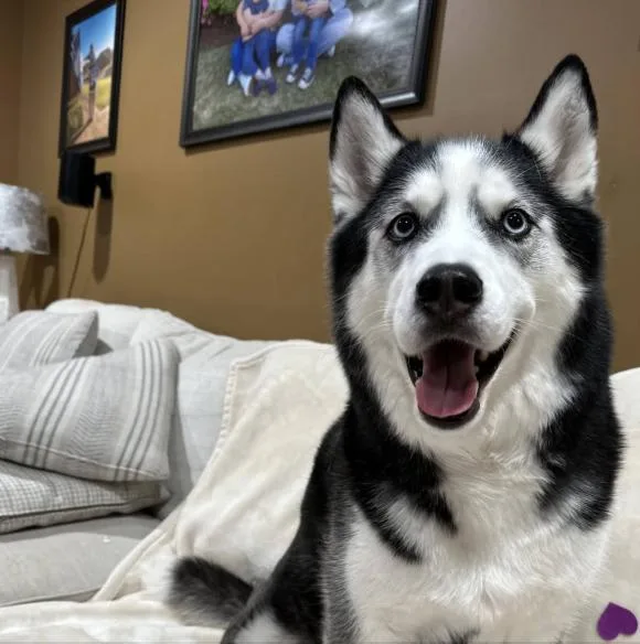 Blizzard thumbnail 3