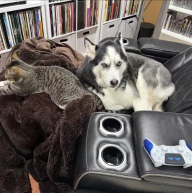 Blizzard thumbnail 4