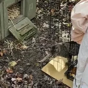 Francesca thumbnail 2