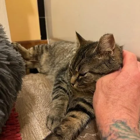 Francesca thumbnail 3