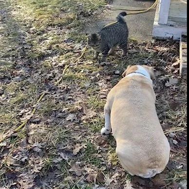 Francesca thumbnail 5