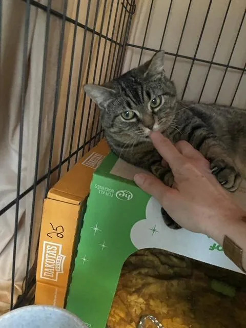 Francesca thumbnail 6